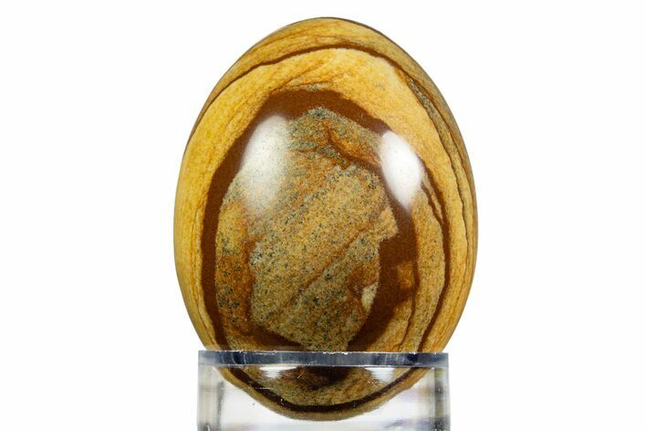 Polished Picture Stone (Jasper) Egg - South Africa #308788